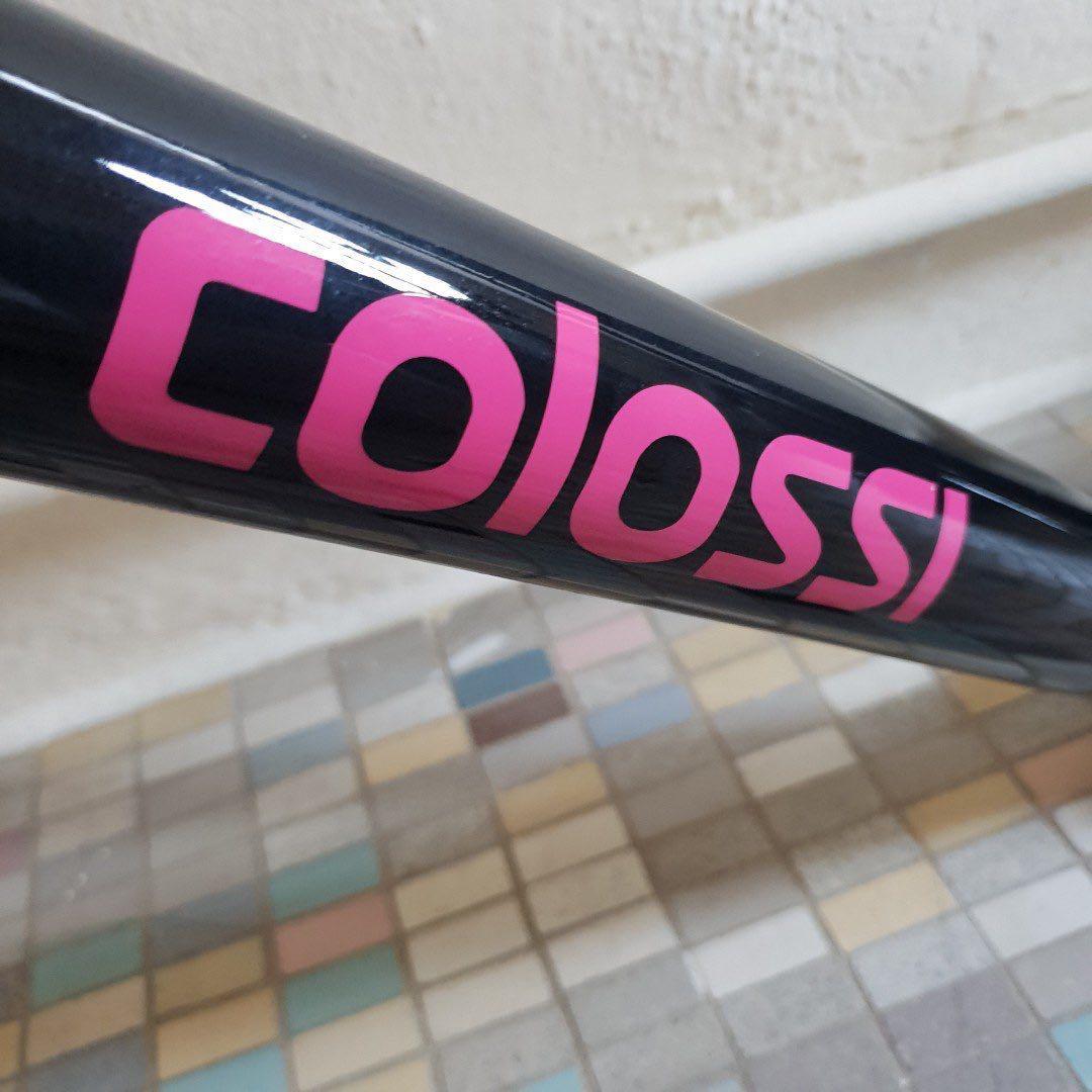 colossi frame price