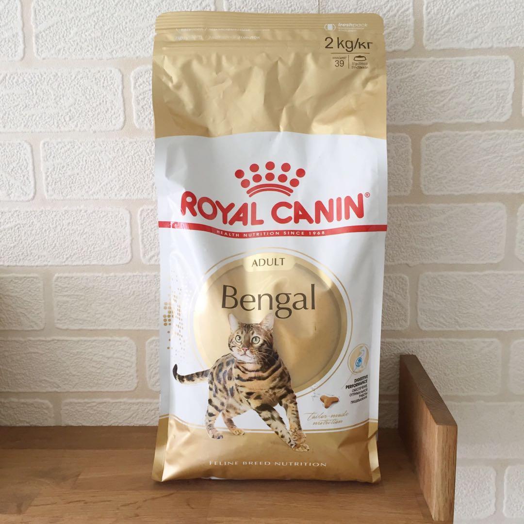 Royal canin bengal wet food 2025