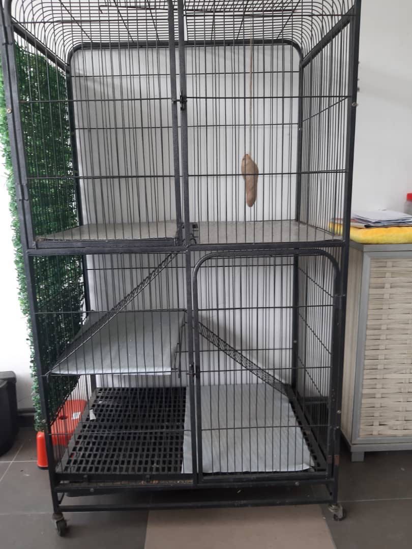 Sangkar Kucing/cat cage, Pet Supplies, Pet Accessories on Carousell