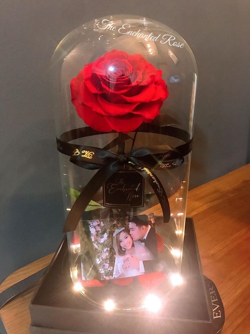 Valentine Flower Rose Glass Dome Beauty And The Beast Enchanted Rose Beautiful Real Preserved Rose A Unique Gift For Your Loved One Gardening Flowers Bouquets On Carousell