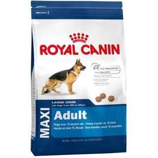 Royal Canin Dry Food Dog Food Carousell Singapore