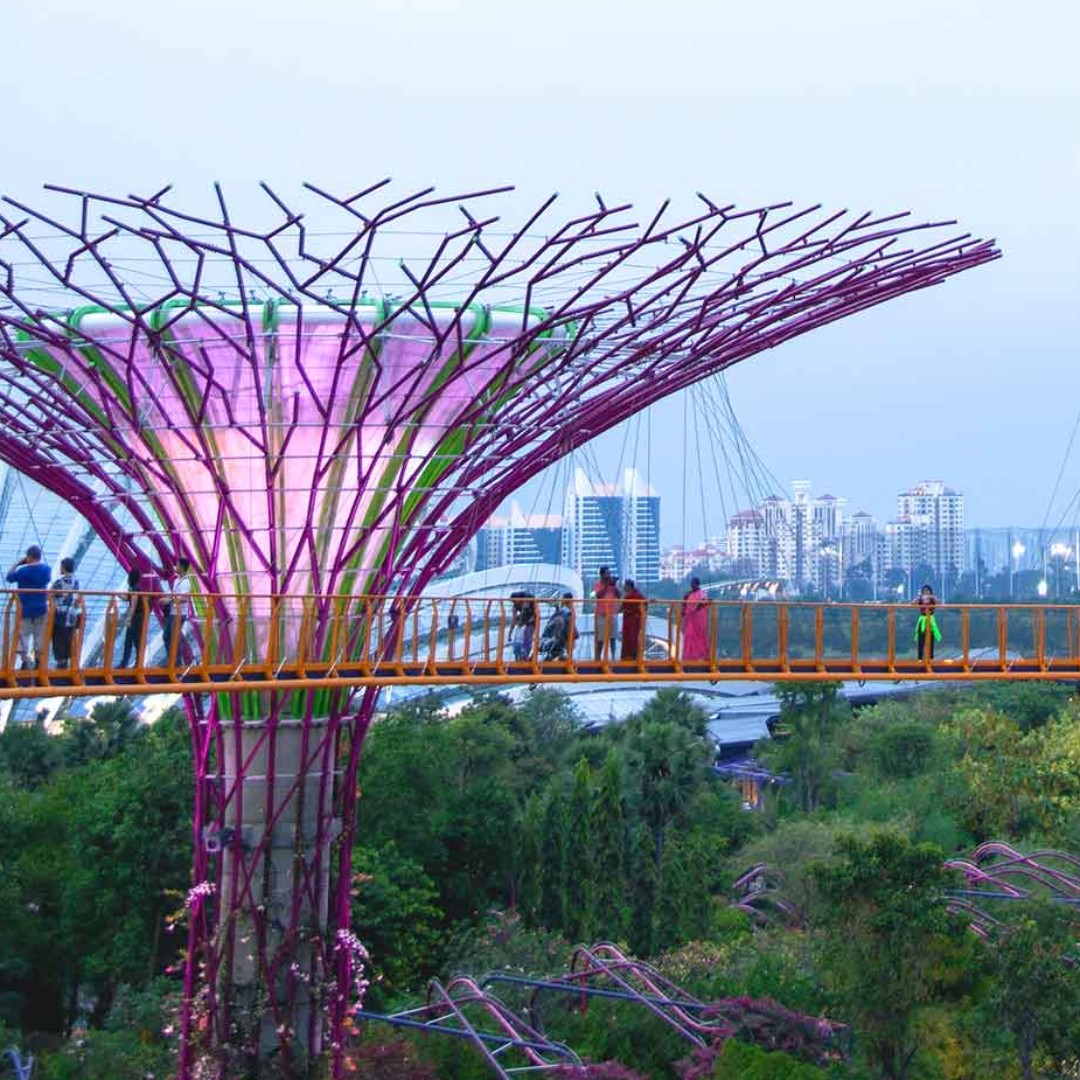 Gardens By The Bay Flower Dome Cloud Forest E Tickets