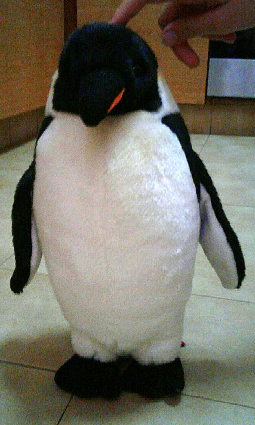 penguin hamleys