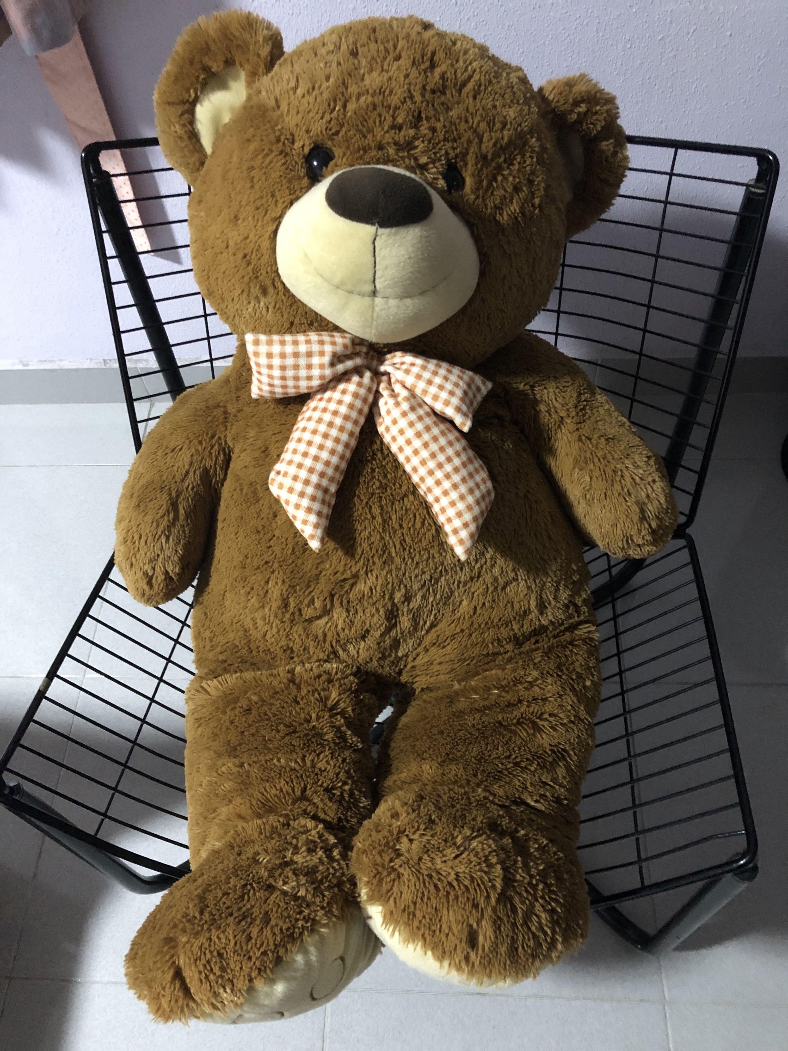 big teddy bear giant