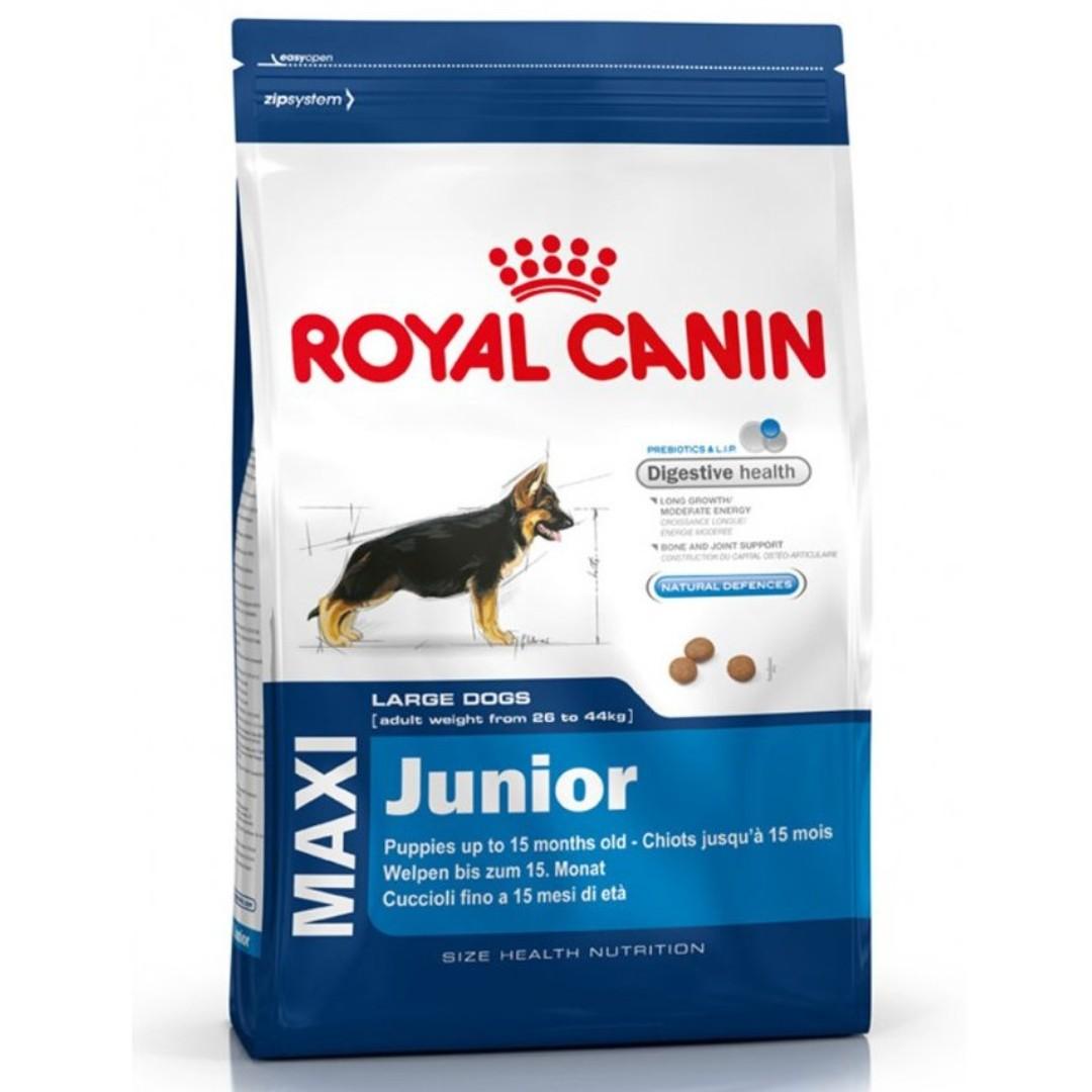 Royal Canin Maxi Junior Dog Food 15kg Pet Supplies For Dogs Dog Food On Carousell