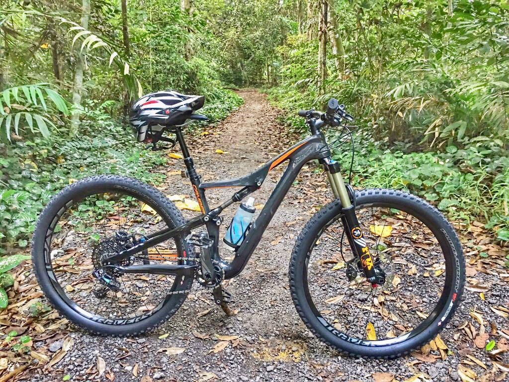 specialized camber expert 2016