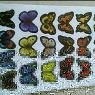 Sticker kupu kupu tembok