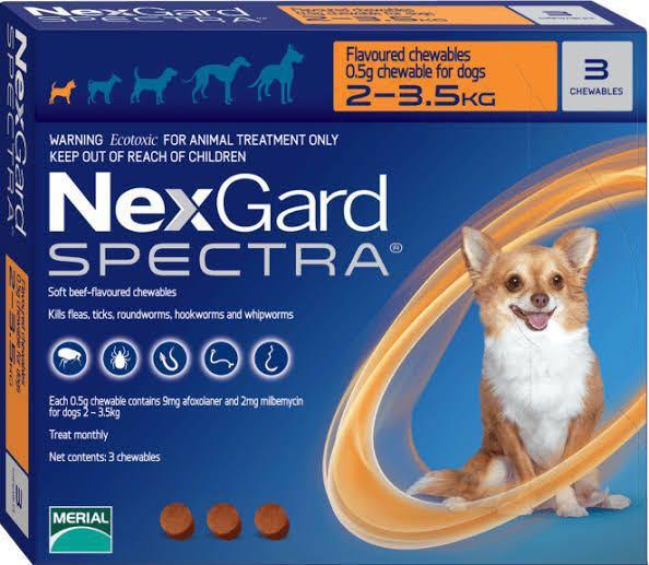 jumbo pets nexgard spectra