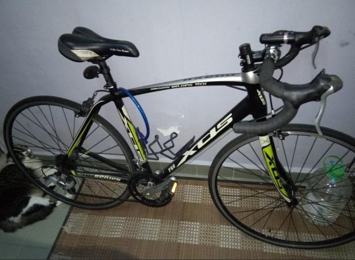 Xds rx200 budget roadbike