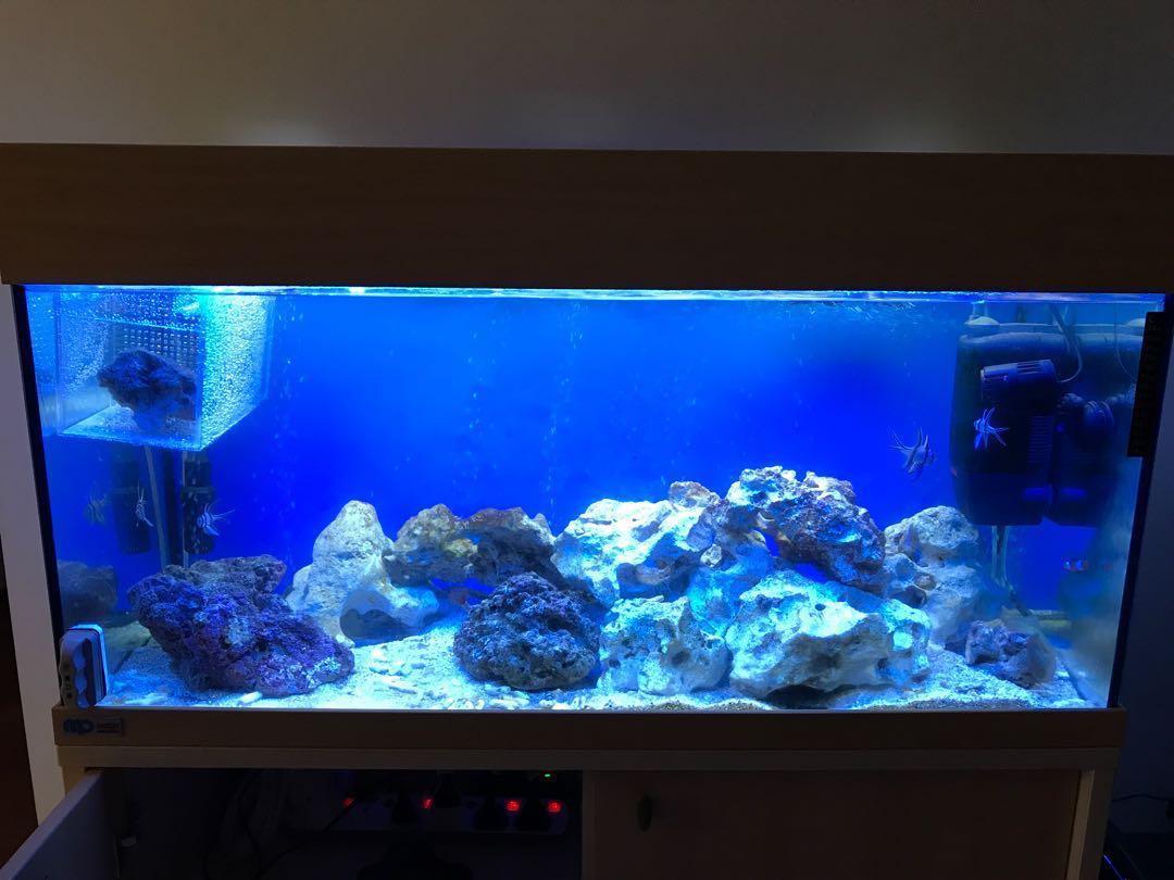 Eheim store fish tanks