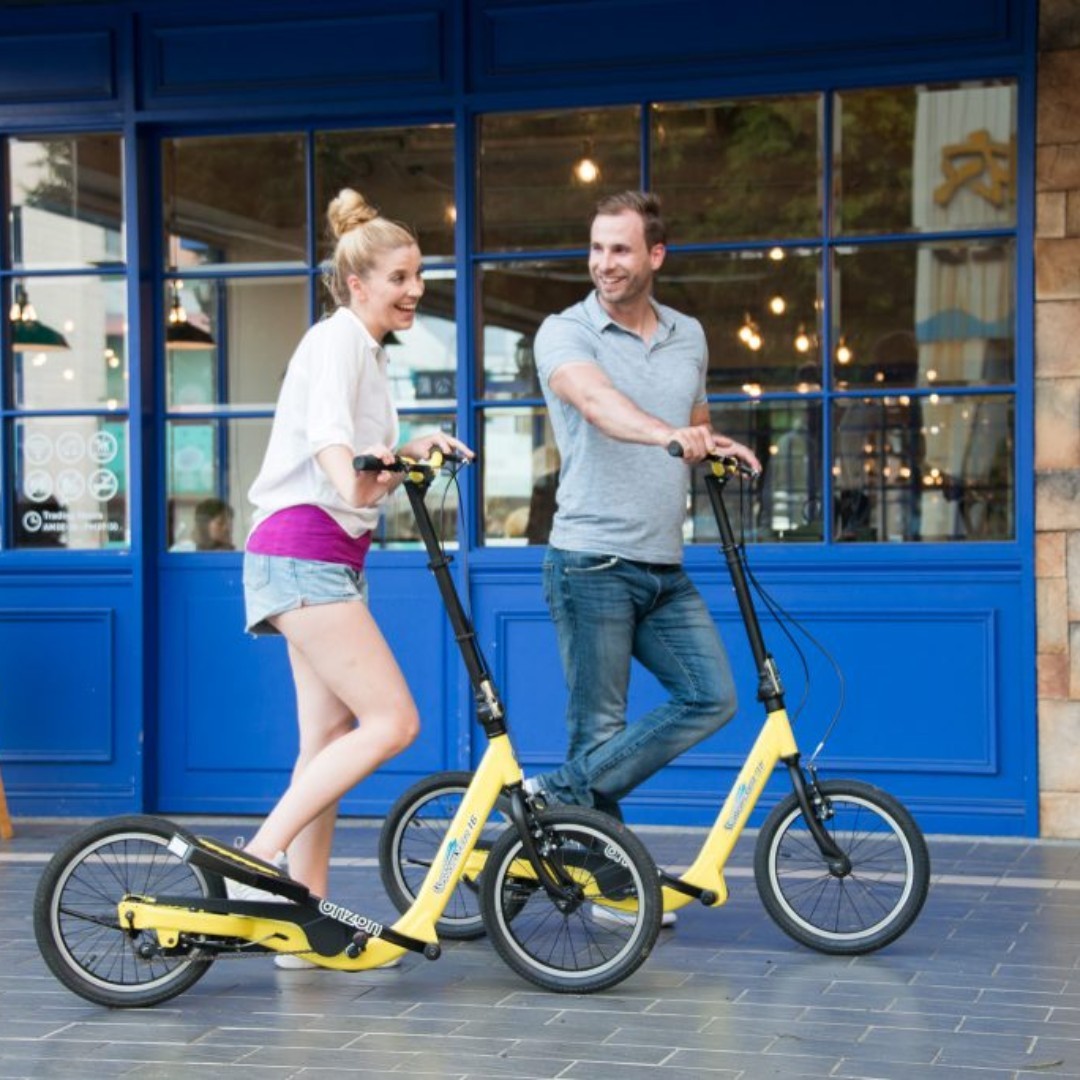 brizon wingflyer w16 stepper bike