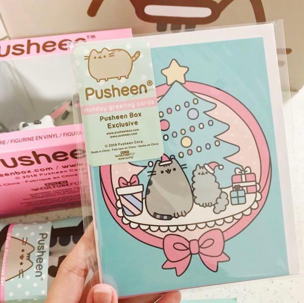 Pusheen Winter Box 2018 Toys Games Stuffed Toys On Carousell