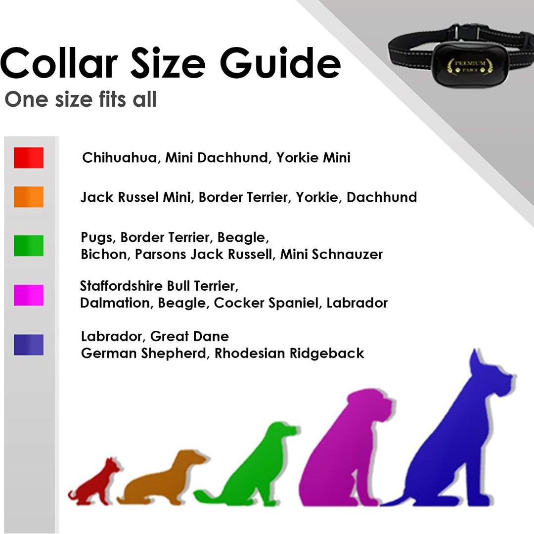 1894 Premium Paws Advanced Intelligence Anti Bark Dog Collar Stop