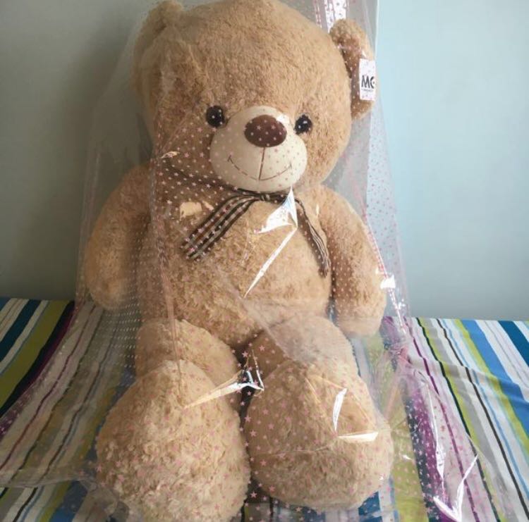 Big Teddy Bear 100cm