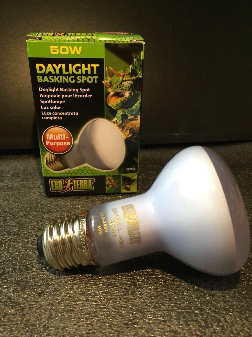 exo terra basking spot 50w