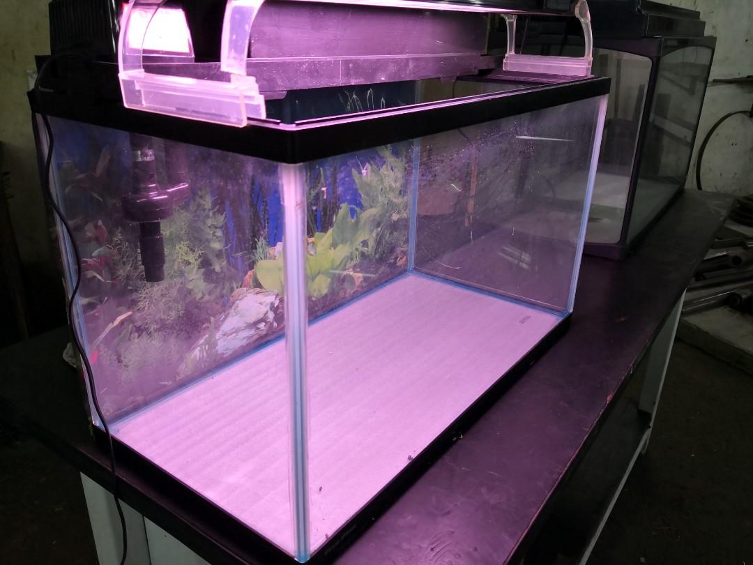 Fish Tank, Pet Supplies, Homes & Other Pet Accessories on Carousell