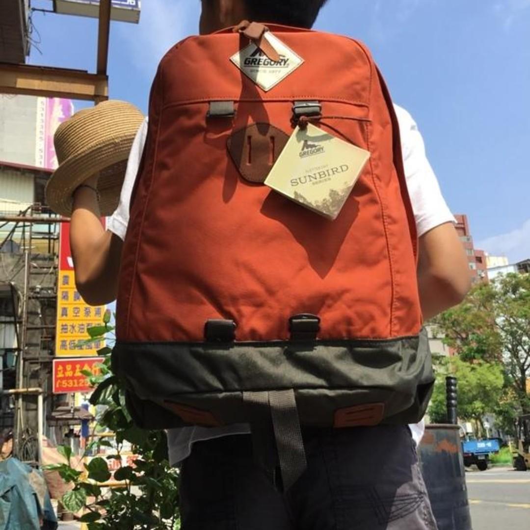 Gregory Sunbird Kletter Day Backpack Rust