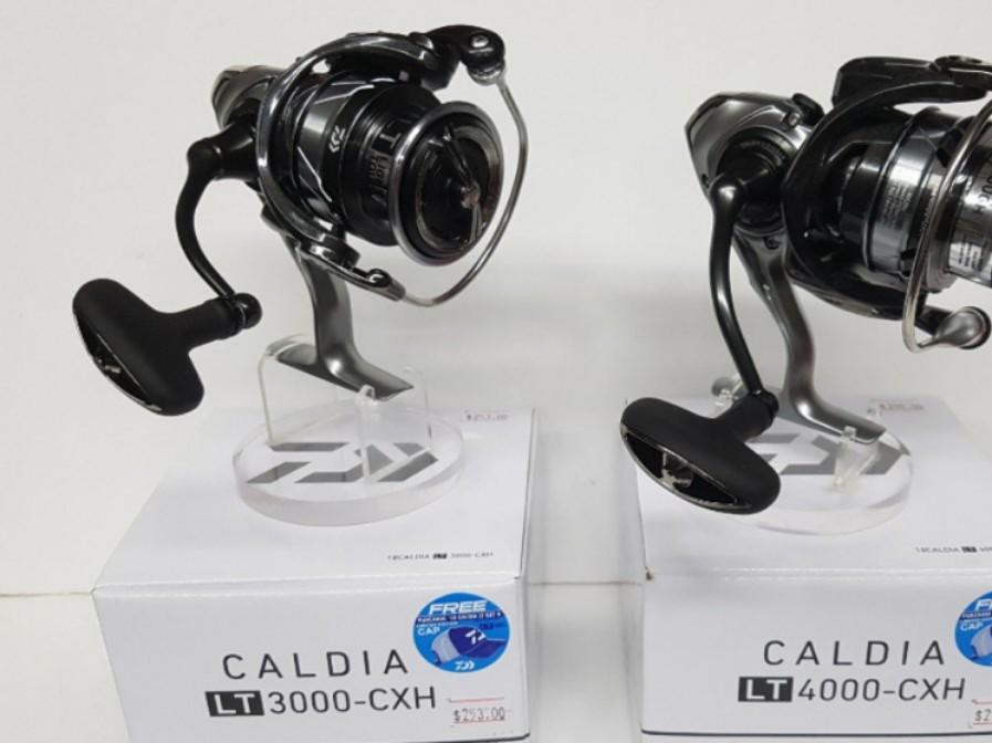 daiwa caldia lt 3000 dc