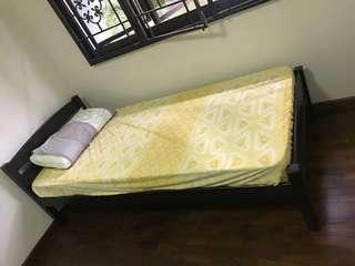 Single Bed Frame