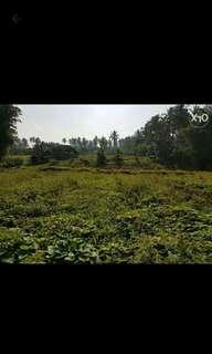 Farm Lot 1hectare wid kubo and chappel in liliw laguna 10000sqm or 1hec