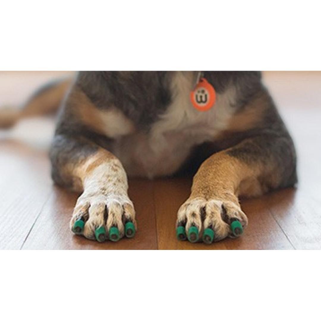 Dr Buzby S Toe Grips Pet Supplies For Small Animals Pet Accessories On Carousell I tried them out and reviewed them last summer when my epidog gibson's hind end weakness caused him to slide on. dr buzby s toe grips pet supplies for