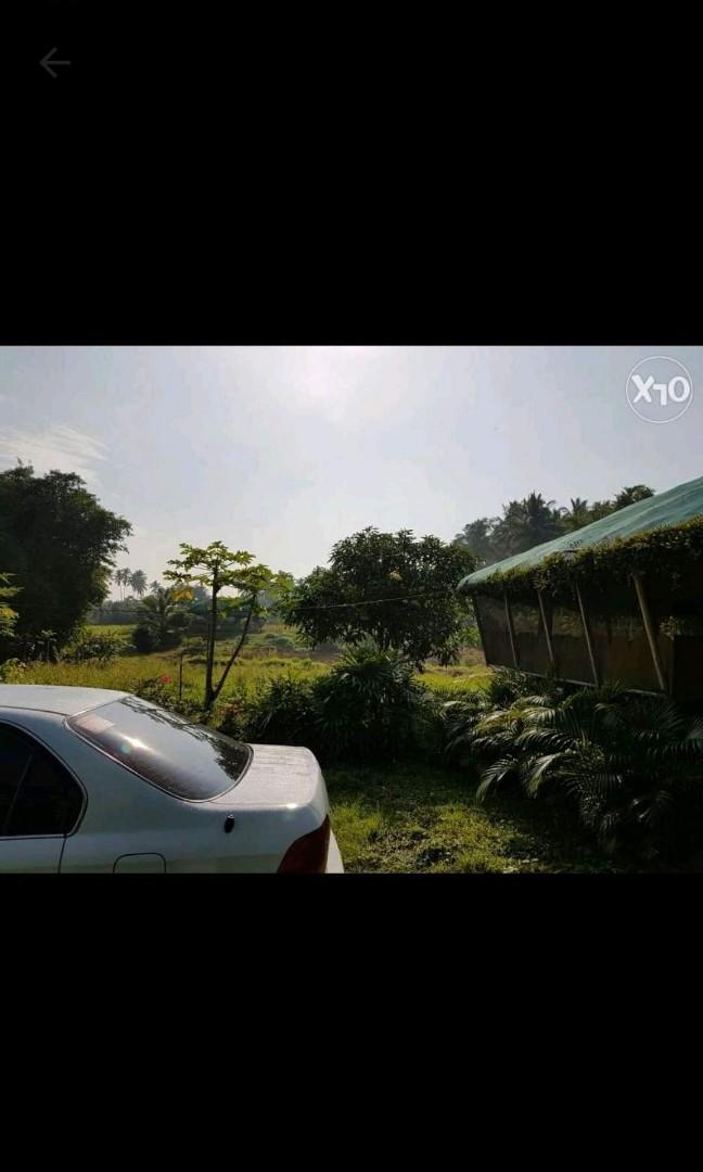Farm Lot 1hectare wid kubo and chappel in liliw laguna 10000sqm or 1hec