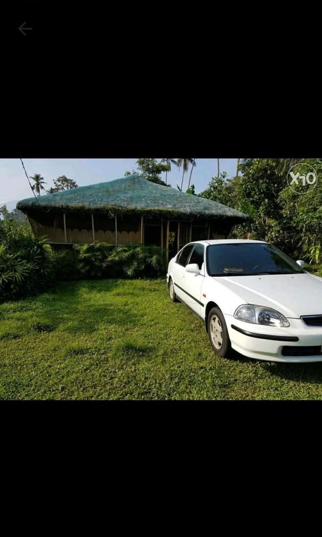 Farm Lot 1hectare wid kubo and chappel in liliw laguna 10000sqm or 1hec