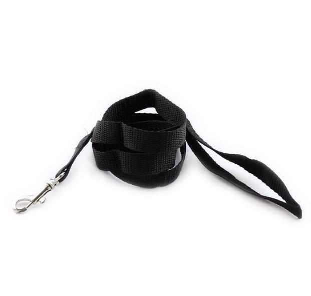 FBI Dog Cat Vest Harness Black Pet Supplies Homes Other Pet Accessories on Carousell