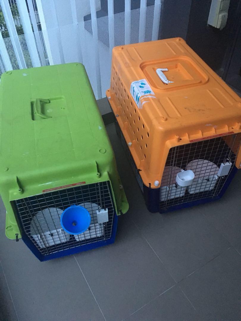 Pet Crate x 2 IATA Approved PP40 Pet Supplies Homes Other Pet Accessories on Carousell