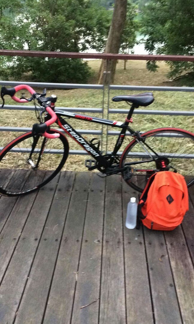stepdragon mountain bike price