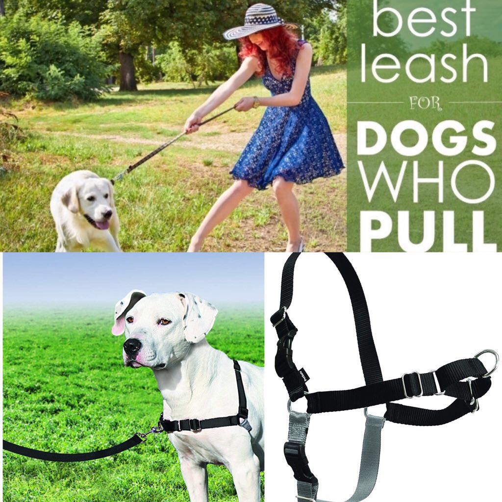 Stop leash clearance