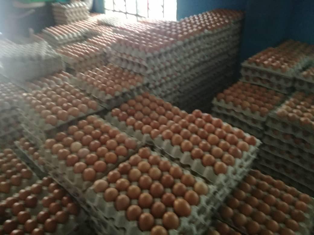 Air Mineral Air Kotak Telur Ayam Everything Else Others On Carousell