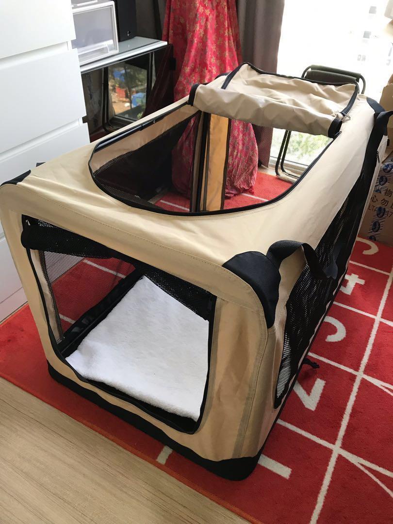 Big dog deals carrier