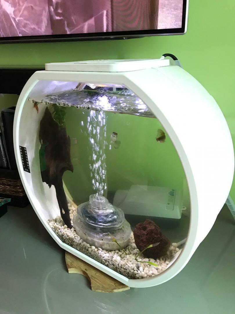 Deco o mini best sale tank