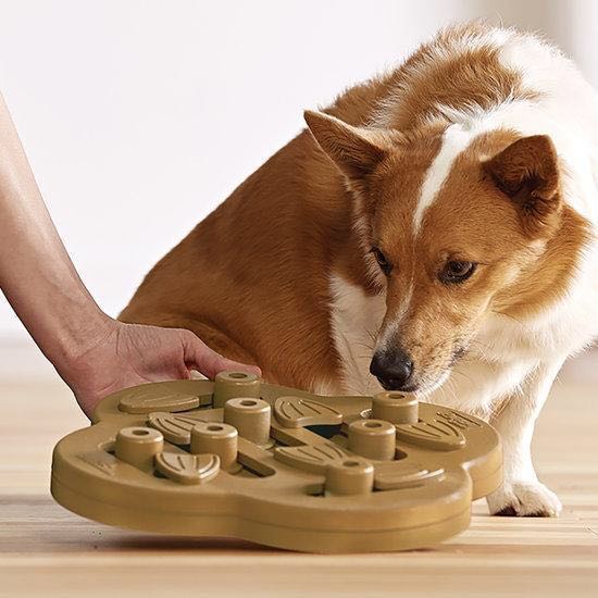 puppy slide toy