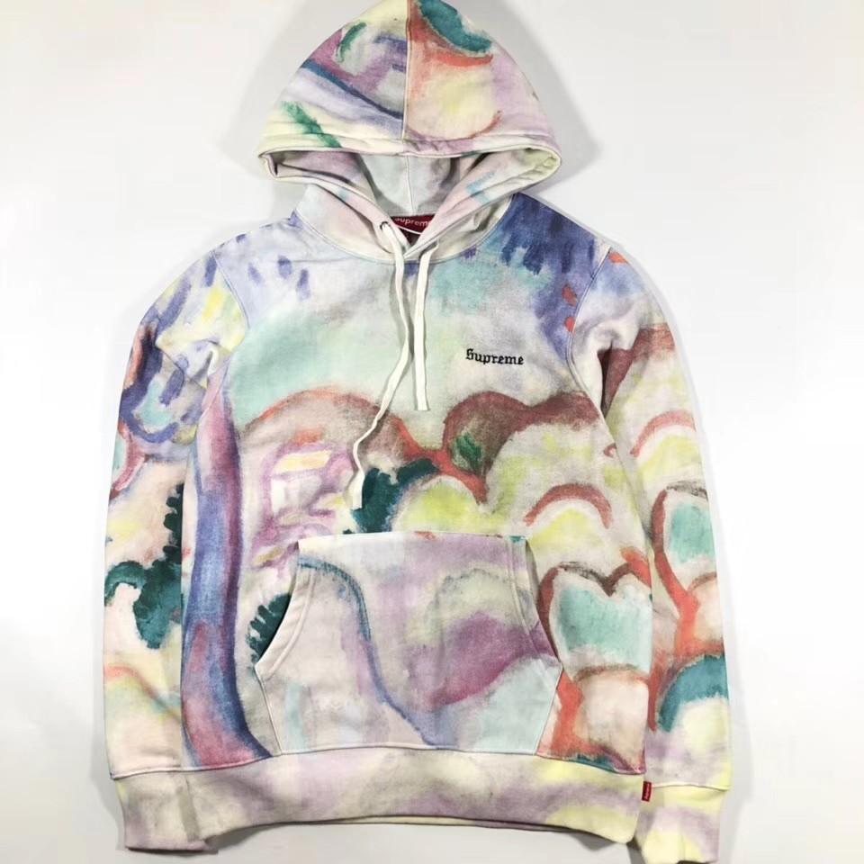 SUPREME Landscape Hooded ランドスケープパーカーLメンズ - パーカー