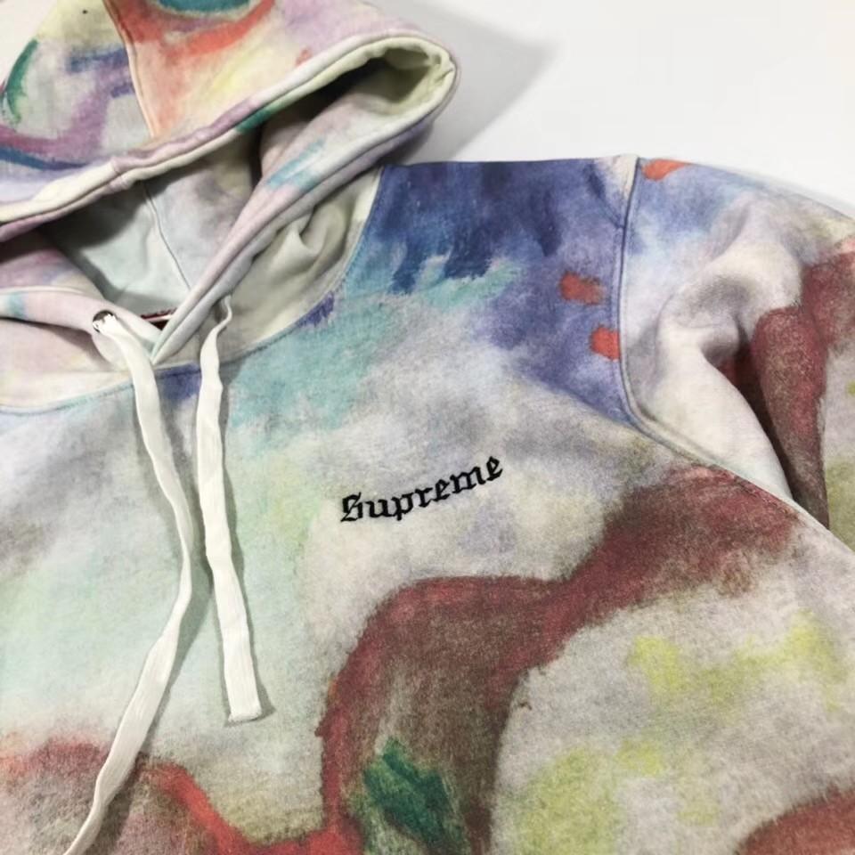 Supreme landscape hot sale hoodie fake
