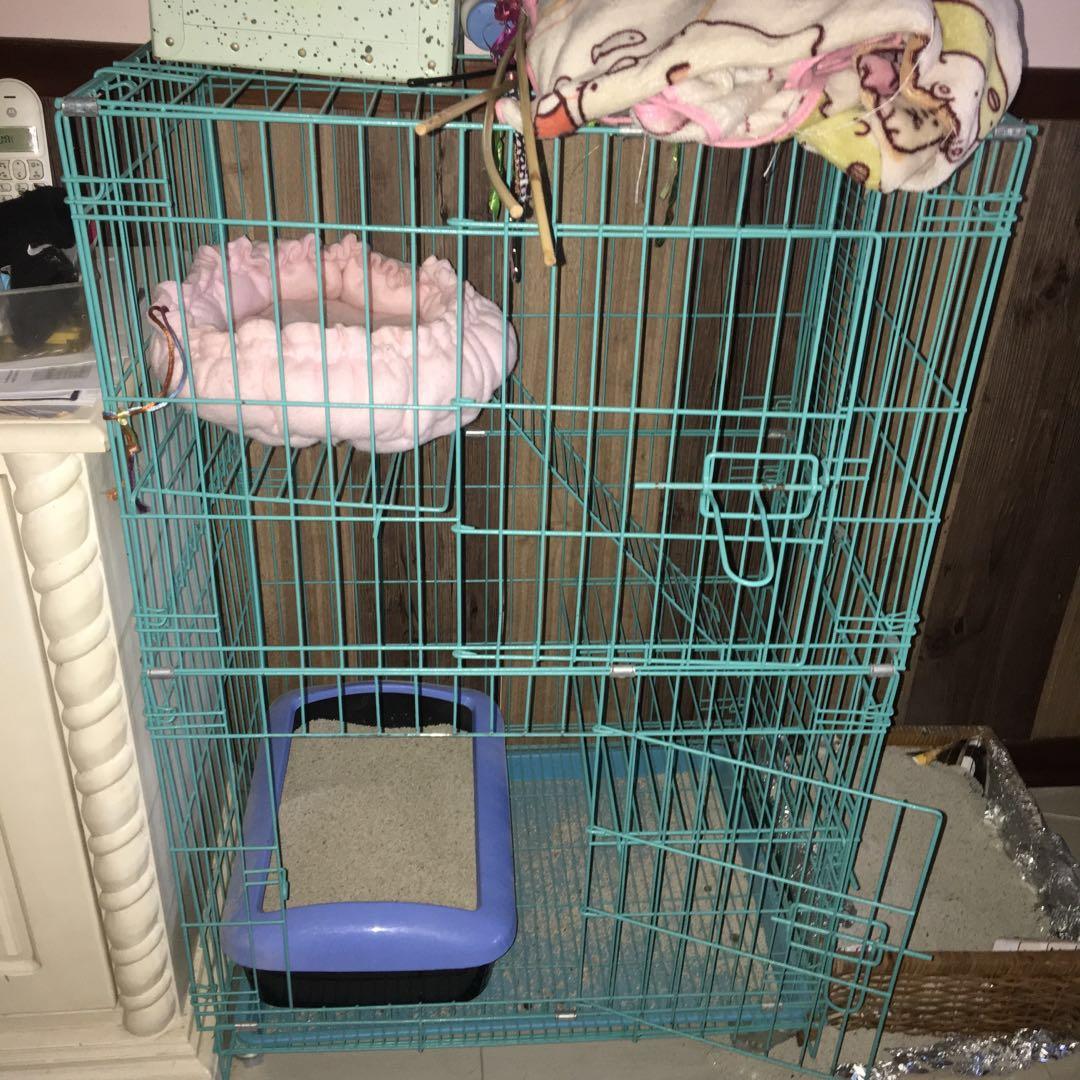 cat carrier with litter box