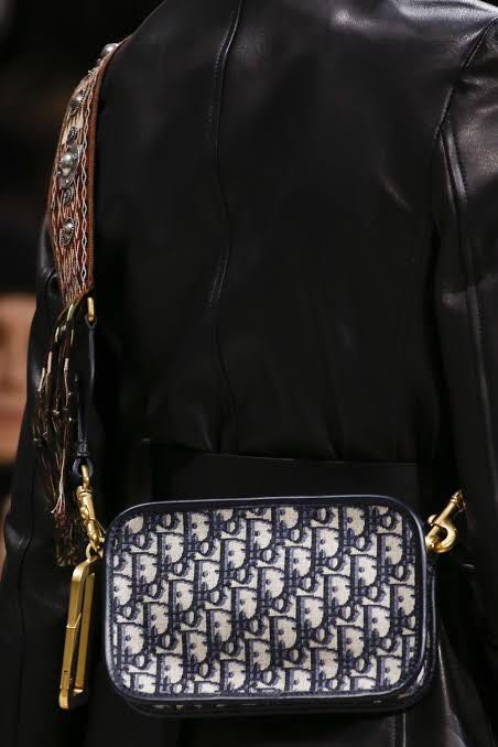 dior camera bag
