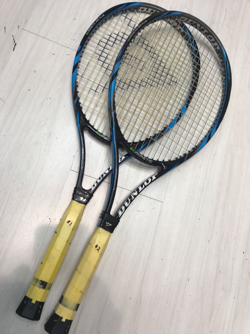 dunlop rebound net