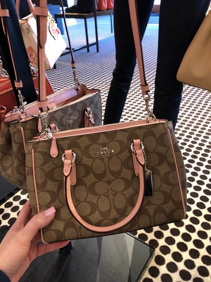 surrey carryall coach bag