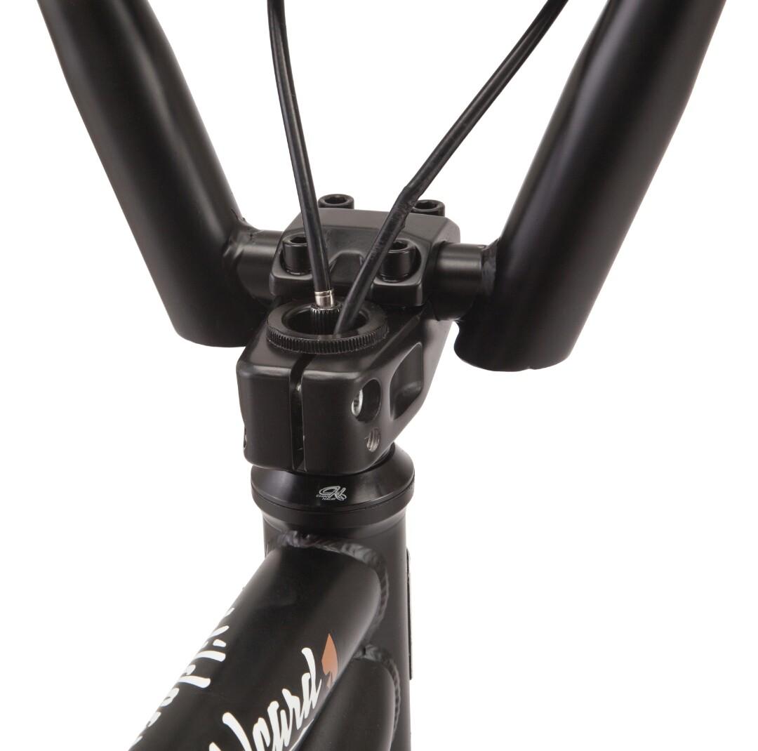 Mongoose wildcard clearance
