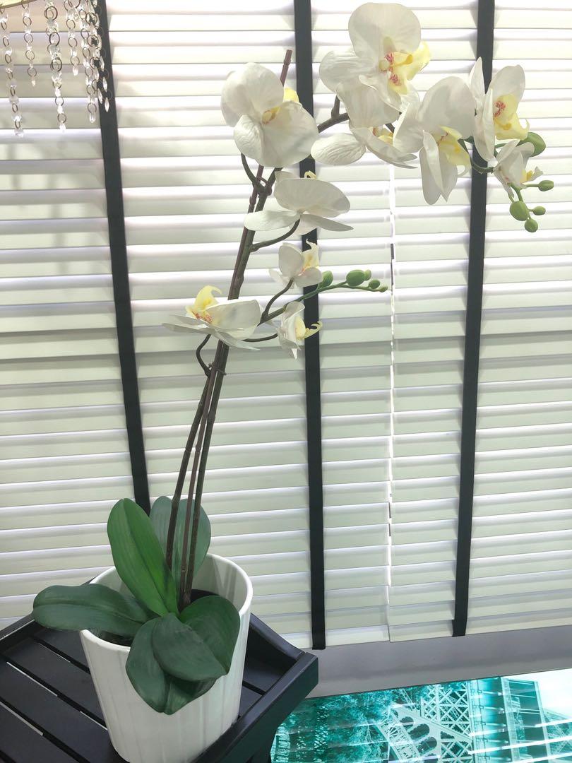Ikea Artificial Orchid Furniture Others On Carousell