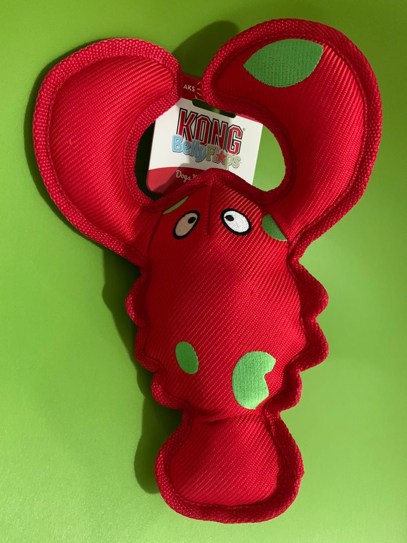Kong shop belly flops