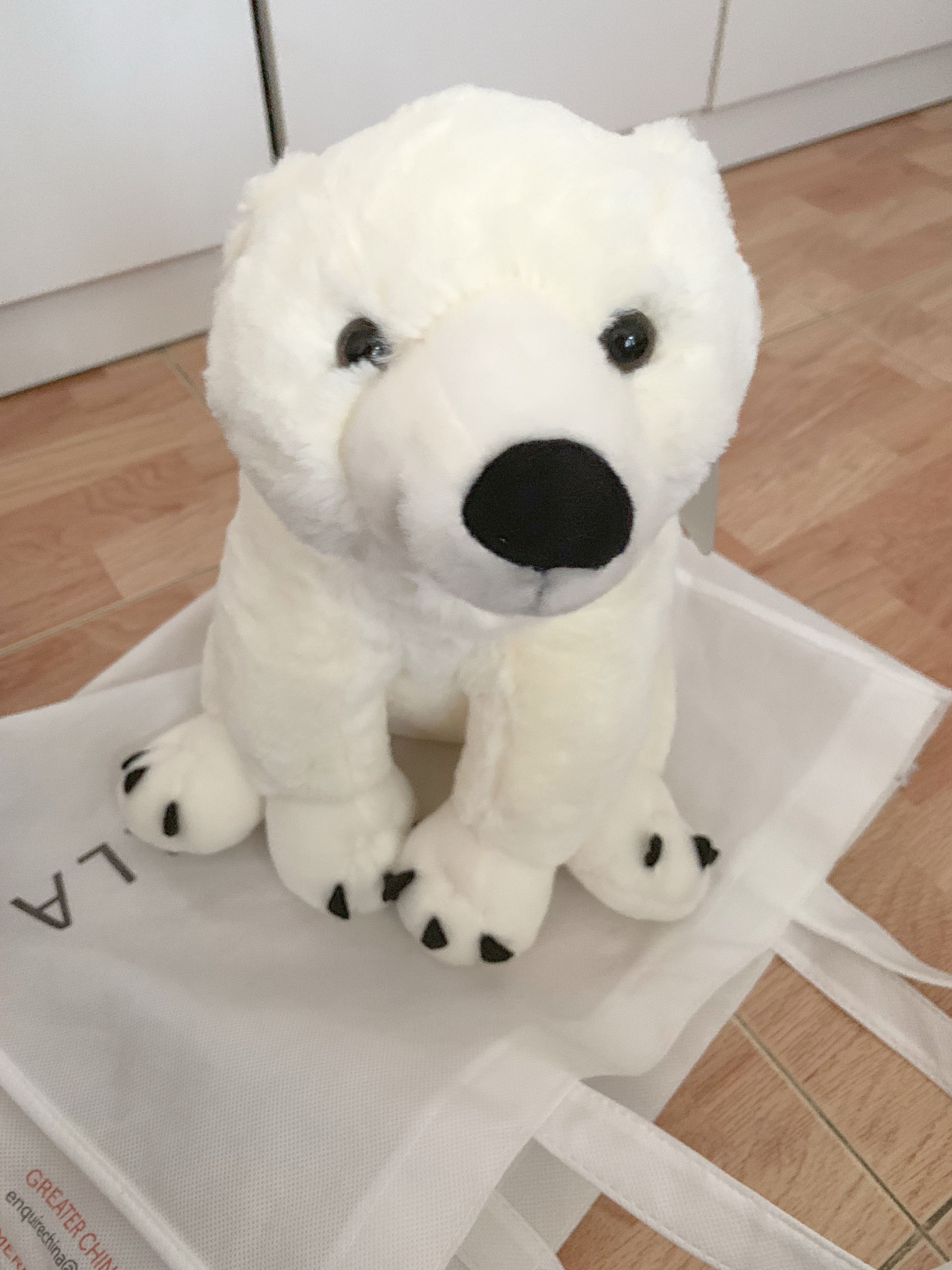 Australia Gold Coast Polar Bear Brand New Toys Games Stuffed Toys On Carousell