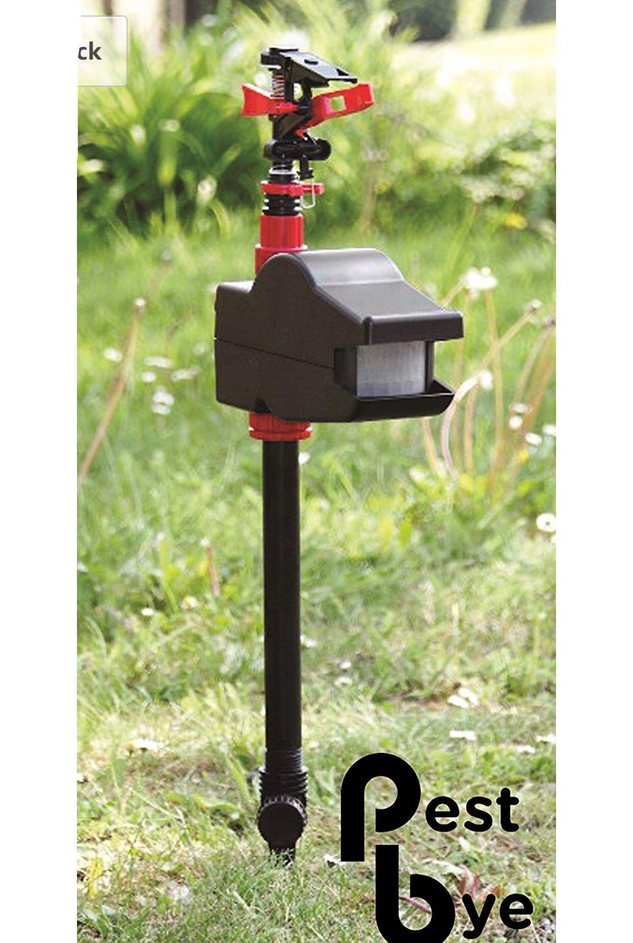 Pestbye jet spray repeller cheap