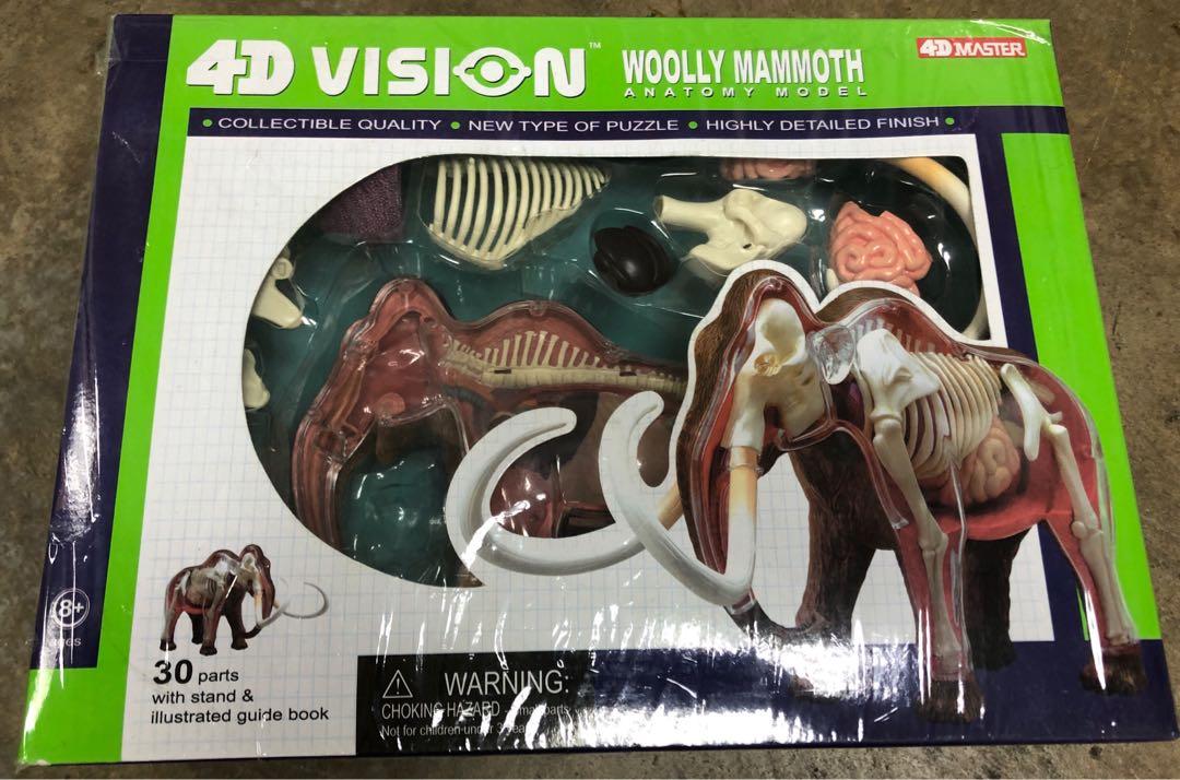 Pet Clinic Woolly Mammoth Skeleton Toy Sculpture Heavy Cardboard