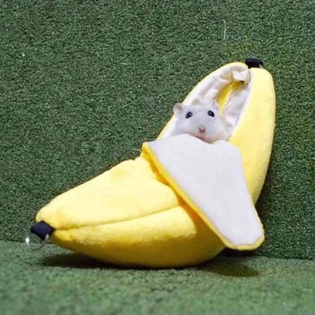 Хомяк мем игрушка. Хомяк и банан. Мышь и банан. Банан х. Банановая мышь.