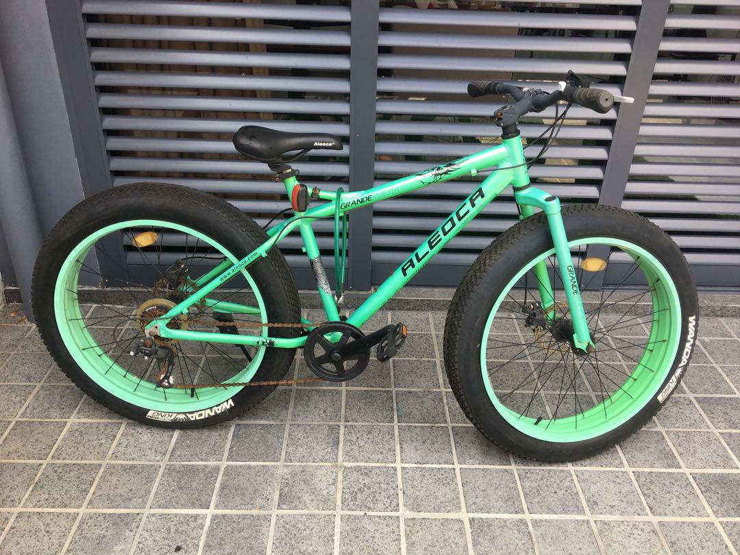 fatbike polygon