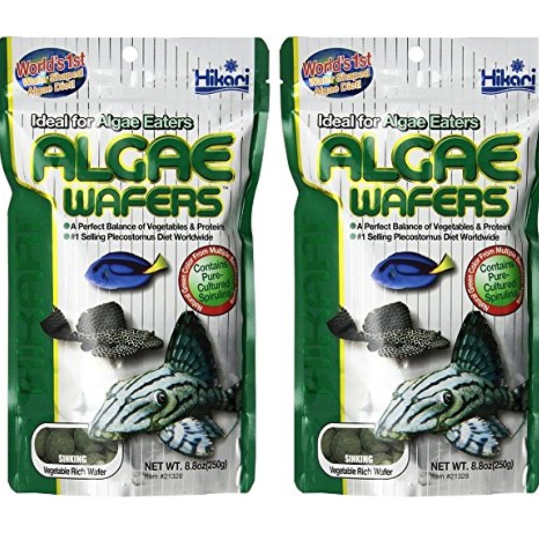 Hikari Tropical Algae Wafers for Bottom Feeding Herbivorous Fish Food Pet Supplies Pet Food on Carousell